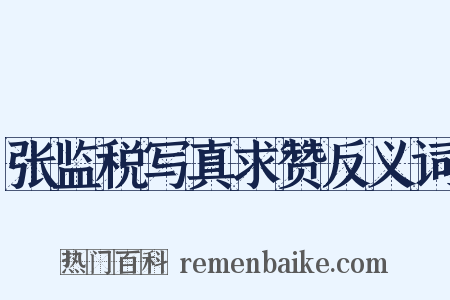 张监税写真求赞反义词是什么意思的图片